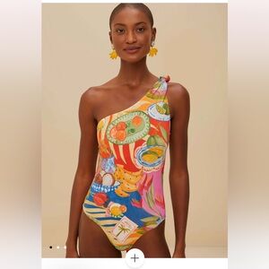 Farm Rio Multicolor Summer Picnic One-Piece Swimsuit